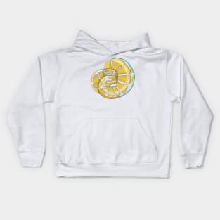 Chromatic albino ballpython Kids Hoodie